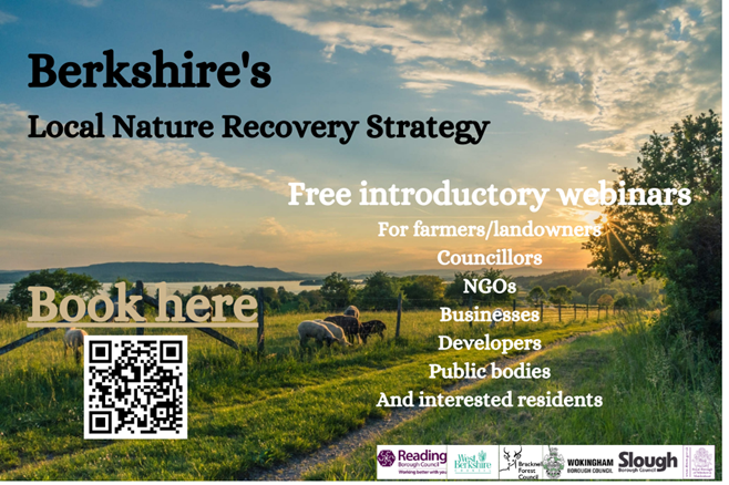Berkshires Local Nature Recovery Strategy Webinars